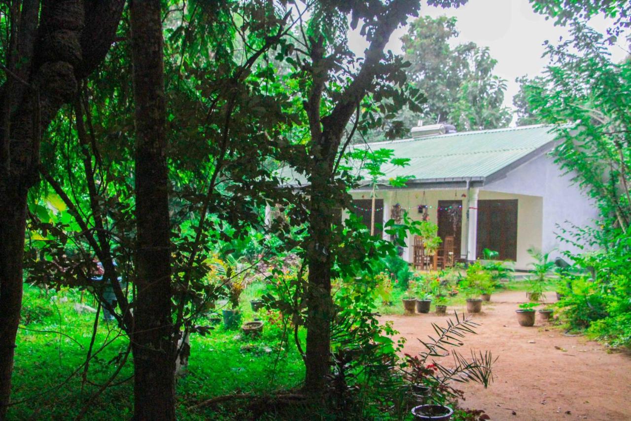 Sigiriya Mana B&B Exterior foto